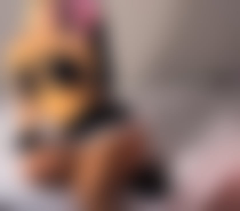 Escorts West London Hillingdon - Photos for 🔞MIA🔞BACK IN YOUR TOWN❤️ PARTY GIRL🥂