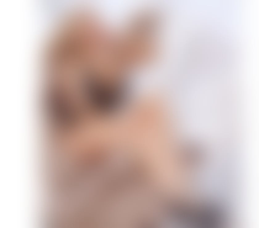 Escorts Essex Chelmsford - Photos for 💋💕MADLENA💕🩷 🥵 HOT🔥NEW