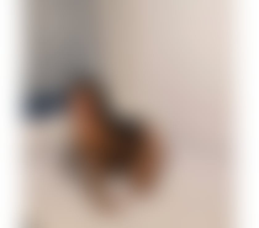 Escorts Sidcup Bexley - Photos for NEW PARTY 📞100%💋Lary 📞INDEPENDENT ❤️