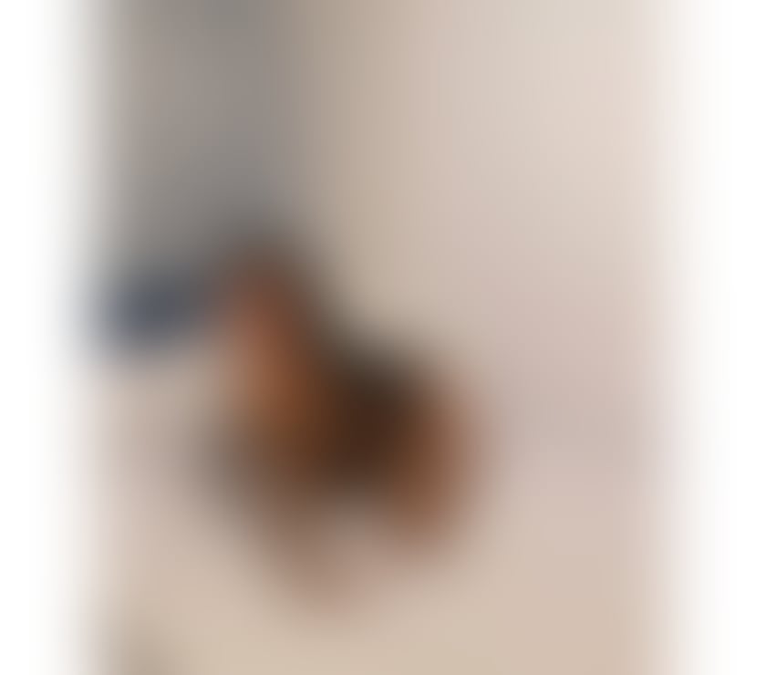 Escorts South East London Plumstead - South East London - Photos for NEW PARTY 📞100%💋LARY 📞INDEPENDENT ❤️