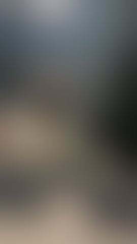 Escorts West Midlands Wolverhampton - 