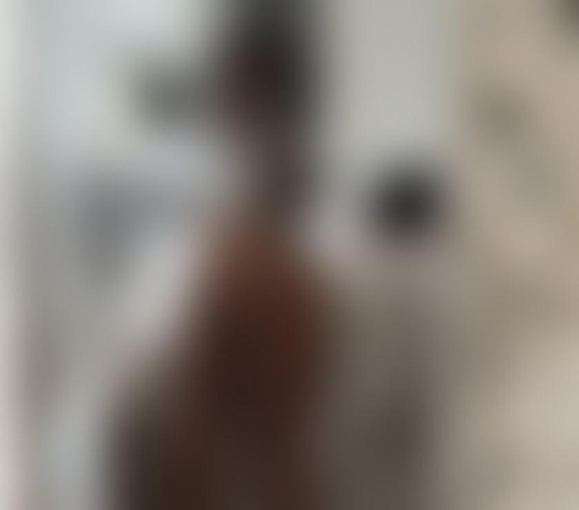 Escorts West Yorkshire Kirklees - Photos for New British Sofia 3 days only!