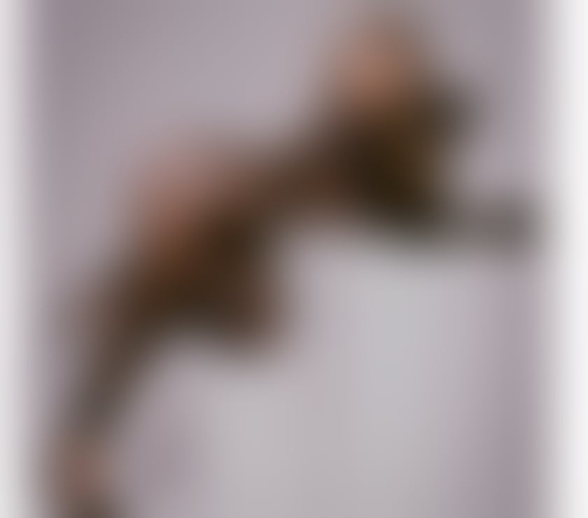 Beatriz Brazilian 🇧🇷 GFE 💎 FULLSERVICE 💎