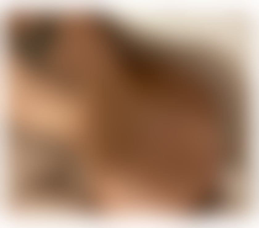 Escorts West Northamptonshire Northampton - West Northamptonshire - Photos for Beatriz Brazilian 🇧🇷 GFE 💎 FULLSERVICE 💎