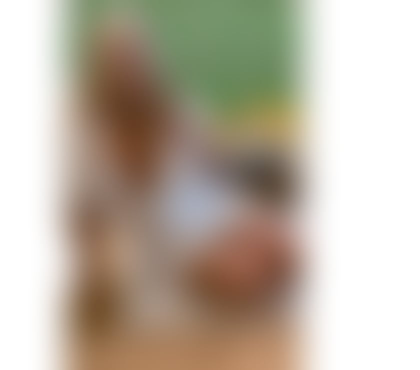 Escorts Cambridgeshire Cambridge - Photos for Magiclondon69 One ☝🏻 Jiggle curve Milf 😍