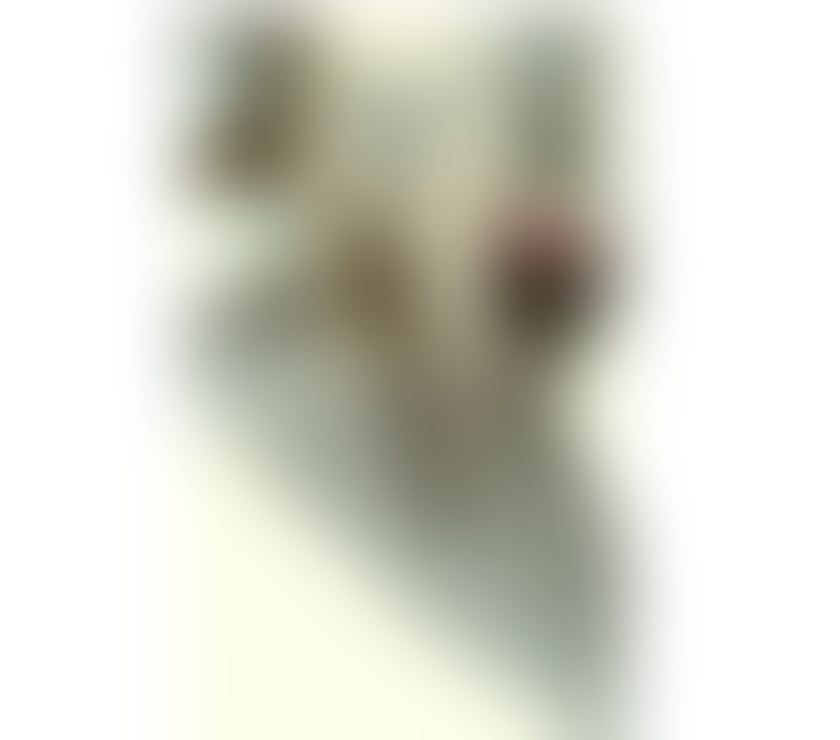 MATURE TOURING ENGLISH BLONDE LATE 60'S