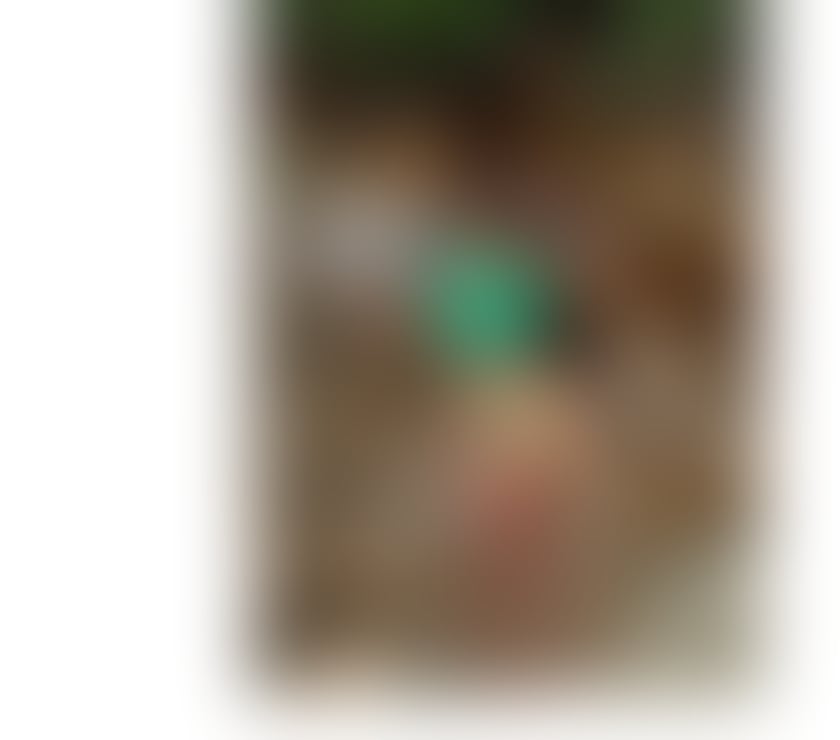 Trans Escorts Bow Road Station East London - Photos for naughty and horny🥳🥳❤️❤️