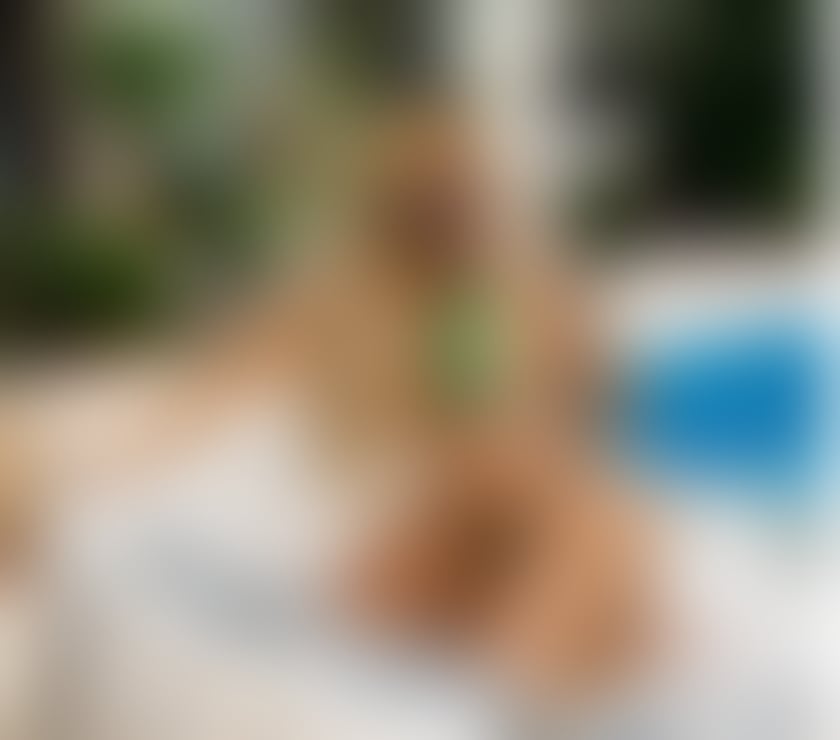 ✨ANGEL VIVARA✨VELVET MOUTH🫦PARTY✨BIG ASS😈🔥