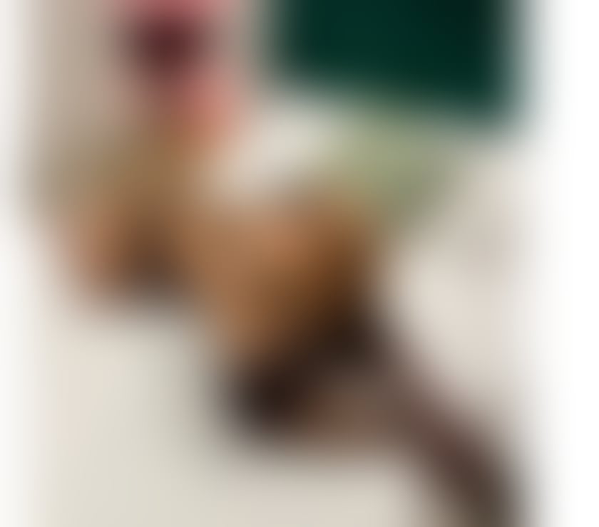 Escorts Buckinghamshire Milton Keynes - Photos for 🥵 THE BEST OWO ✨ KELLY MILER ✨ HOT BRAZILIAN 😊