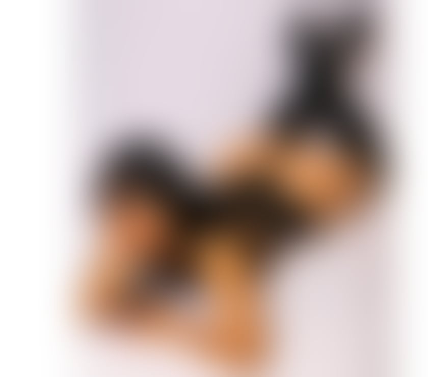 Escorts Essex Chelmsford - Photos for CLOE🔥BRAZILIAN🍑GENUINE100%🔥 GFE