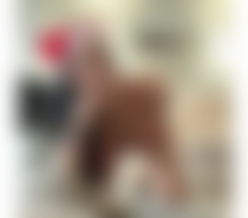 Escorts Staffordshire Lichfield - Photos for 🇧🇷NATALIA New Brazilian 🌸🆕