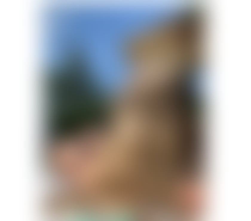 Escorts Gloucestershire Cheltenham - Photos for ALICE FIRST TIME IN TOWN ♥️ BEST OWO🔥