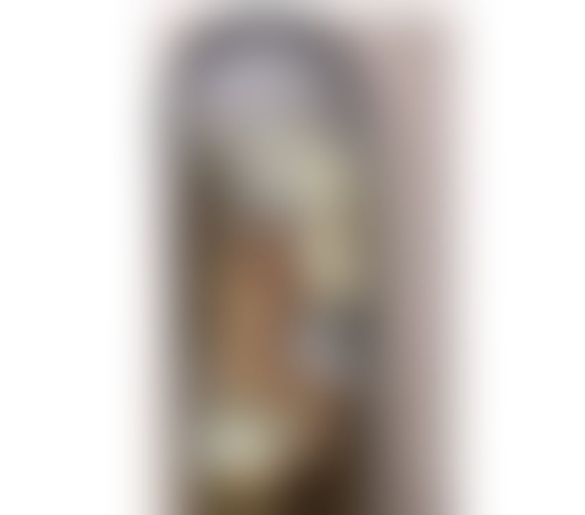 Trans Escorts South Yorkshire Sheffield - Photos for SOFIA FOCHESATTO ✨️BACK IN SHEFFIELD ✨️