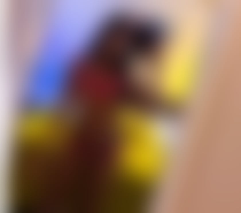 Escorts West Northamptonshire Northampton - West Northamptonshire - Photos for DWARF STEPHANY BRAZIL🍄🇧🇷 REAL AND HOT🔥