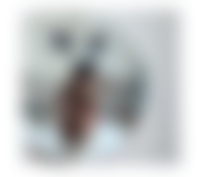 Escorts West Midlands Birmingham - Photos for Brasileira 🇧🇷🇧🇷🇧🇷owo