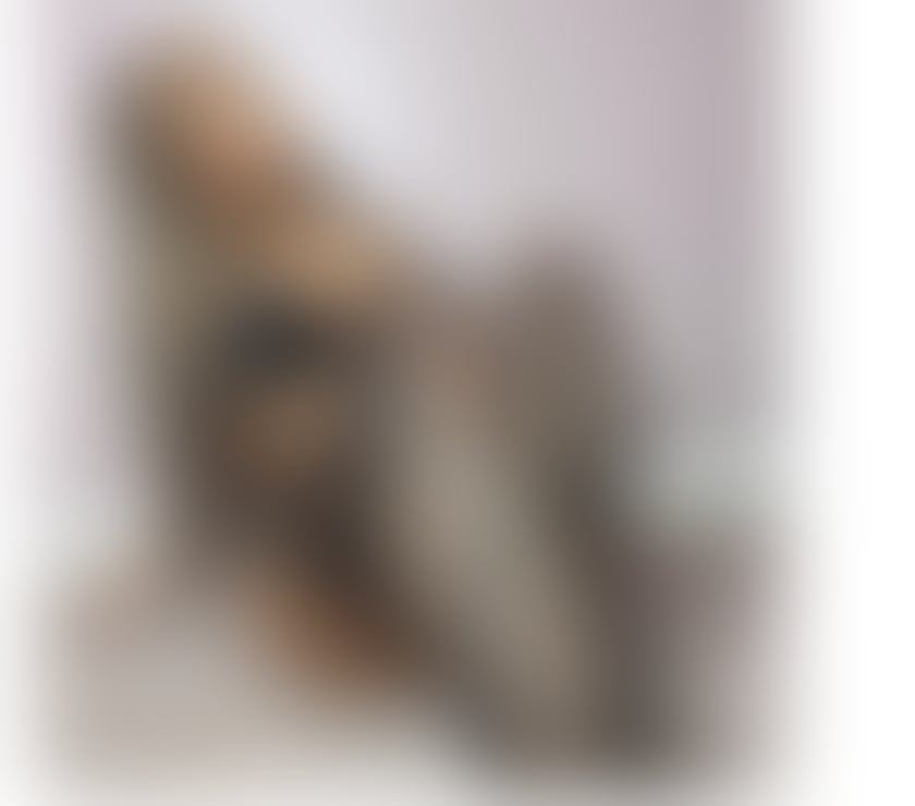 Brenda - garota de classe alta 🥂