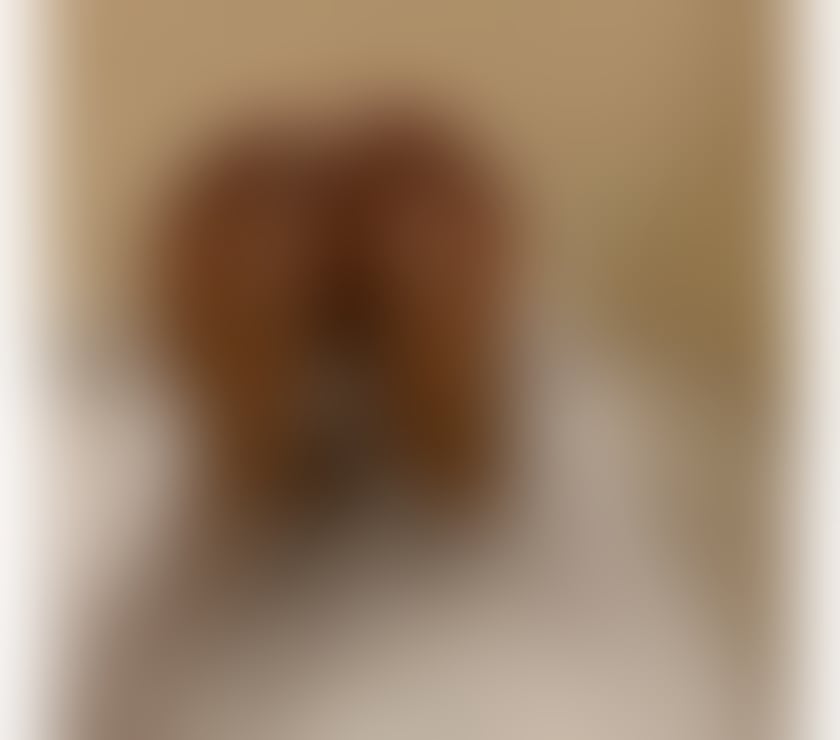 Escorts Bristol Easton - Bristol - Photos for JESS IS HERE🔥 BEST OWO 👅 REAL PICS, NO RUSH 💋