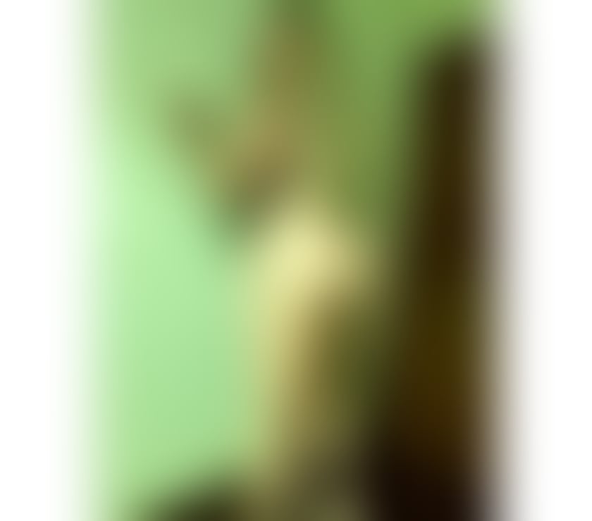 Escorts Perth and Kinross Perth - Perth and Kinross - Photos for New Brazilian here 🔥💦OWO ANDY PARTY