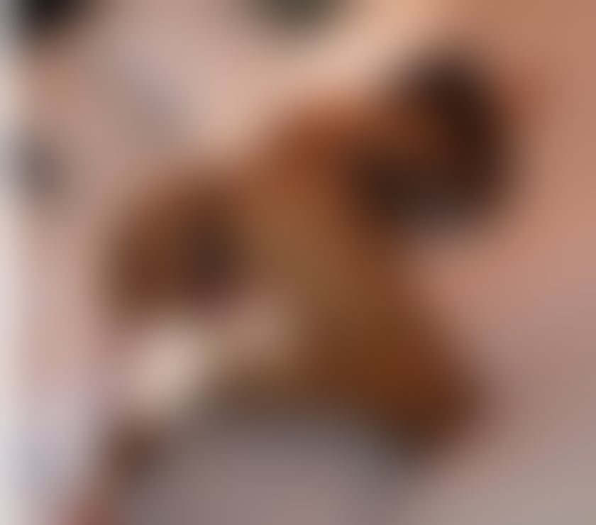 Escorts Buckinghamshire High Wycombe - Buckinghamshire - Photos for LOVE PARTY GIrl sloppy BJ , ,Strapon 🍆⛓️mistress