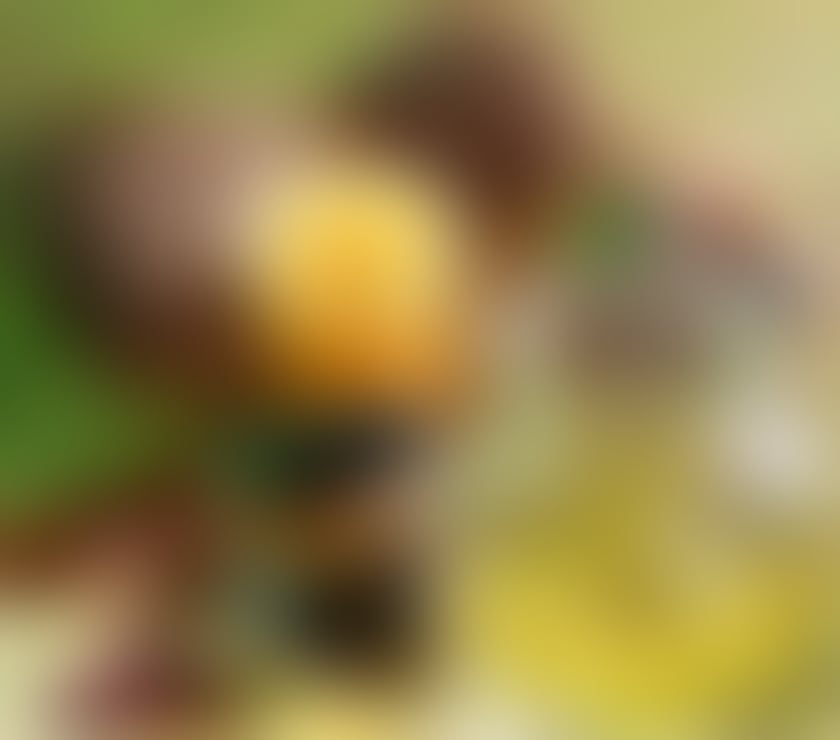 Escorts Highland Inverness - Highland - Photos for Massage in 🌺 Inverness ✅