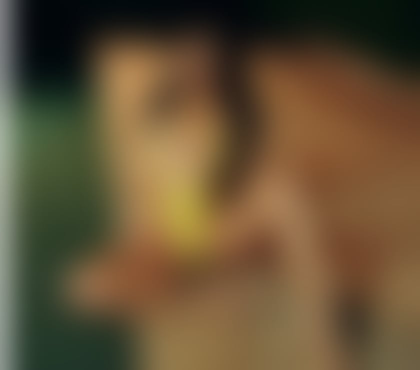 Escorts Reading Reading Town Centre - Reading - Photos for Hot young girl in town 🔥🔥🫦