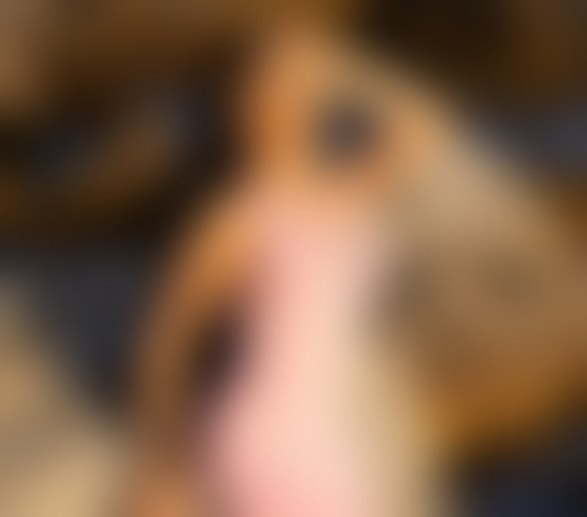 Escorts West London Acton Central Station - West London - Photos for VICKY❤️NEW GFE❤️1H100 with 💋❤️