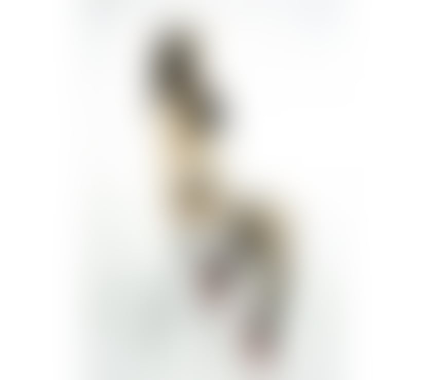 Escorts South East London Lewisham - Photos for Emily UNFORGETTABLE GIRLFRIEND EXPERIENCE & BEST BJ