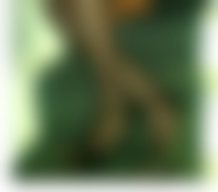 Escorts South Ayrshire Ayr Central - South Ayrshire - Photos for Allure K Busty Mature Elegant Lady