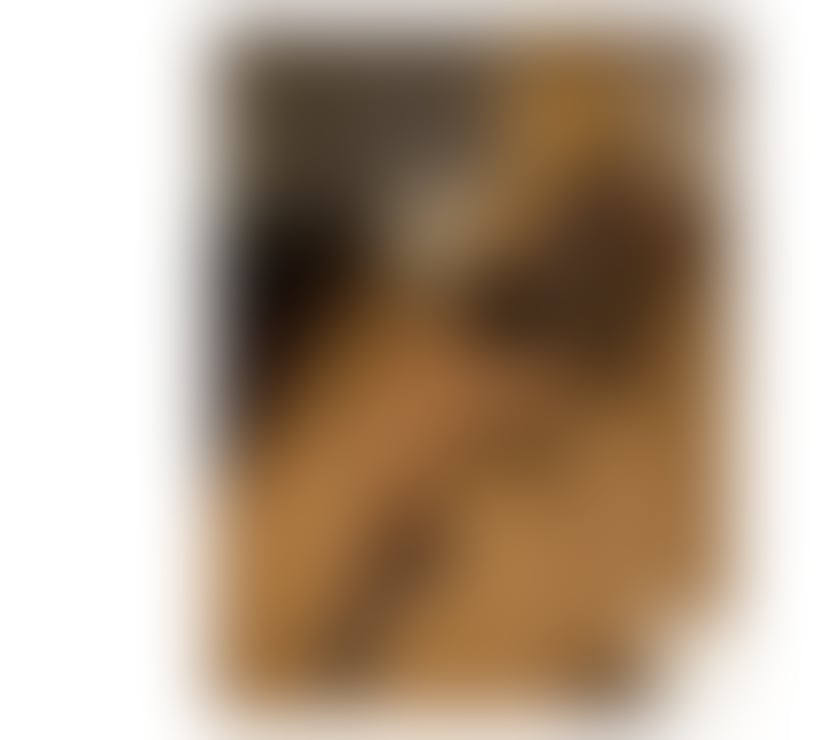 Escorts Enfield Town Centre Enfield - images_alt_text SOFIA, NEW IN TOWN❤️OWO - NO RUSH - EN1 4NL