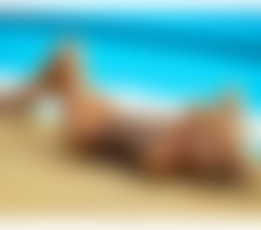 Escorts West London Chiswick - West London - Photos for EVA😍AMAZING GIRL 😍 HOT 😍 OUTCALL