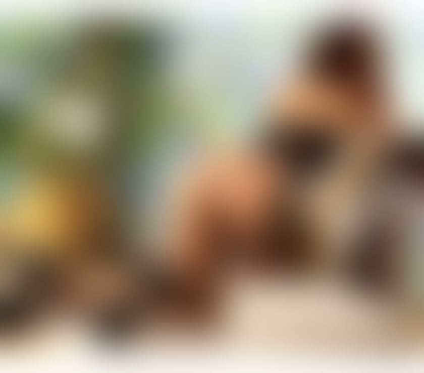 Escorts Hampshire Portsmouth - Photos for SEXY MYA💎YOUR DREAM GIRL IS HERE🍑BEST SERVICES-GF £