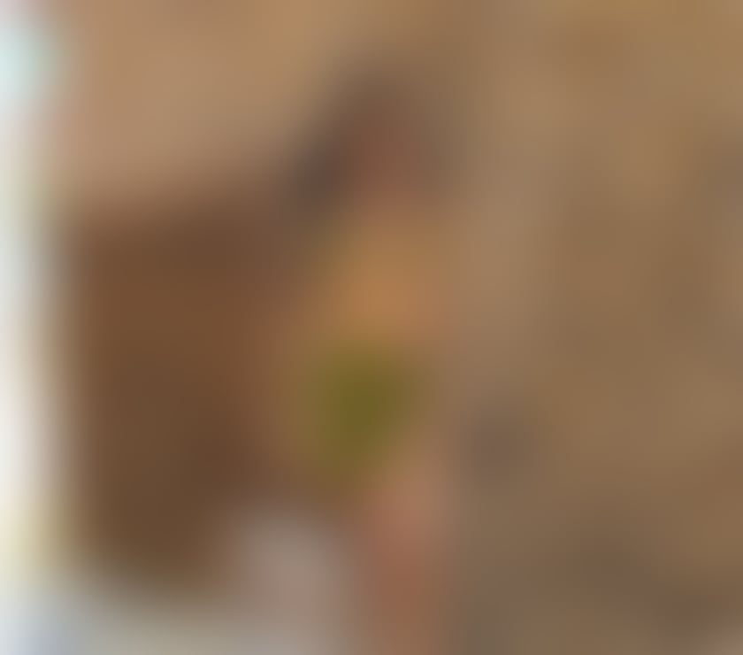 Escorts County of Herefordshire Hereford - County of Herefordshire - Photos for Lua The Perfect Woman 🔥