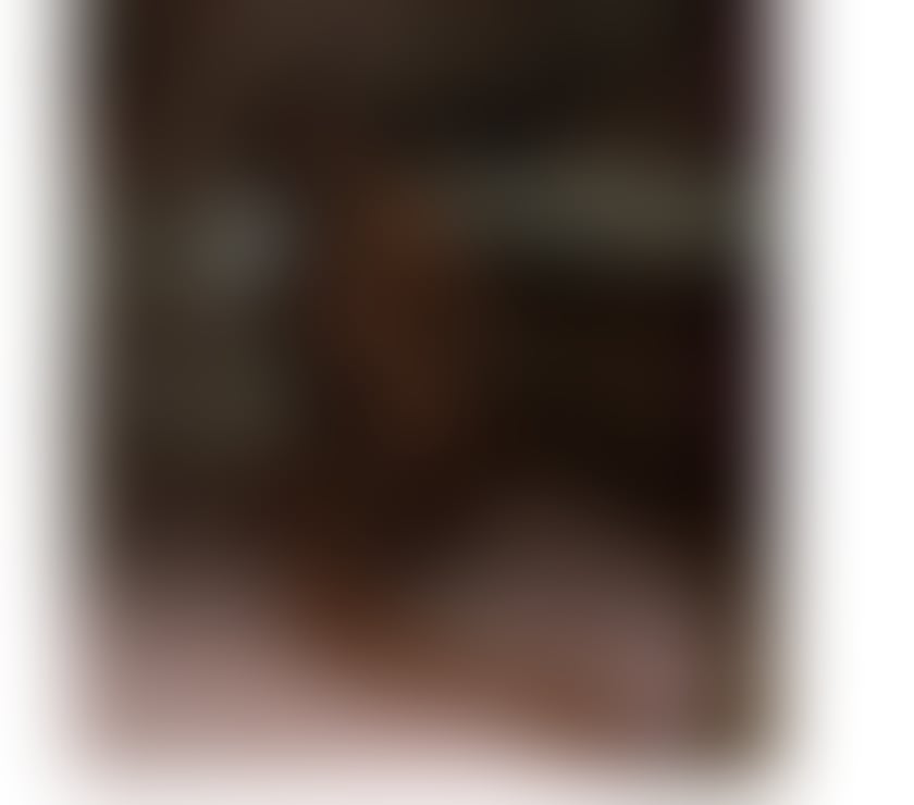 Ariana Party New In Town