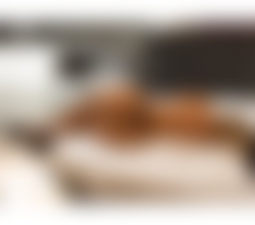 Escorts Barking and Dagenham Barking - Barking and Dagenham - Photos for HOT Bella Brazilian best service🇧🇷 party girl🇧🇷