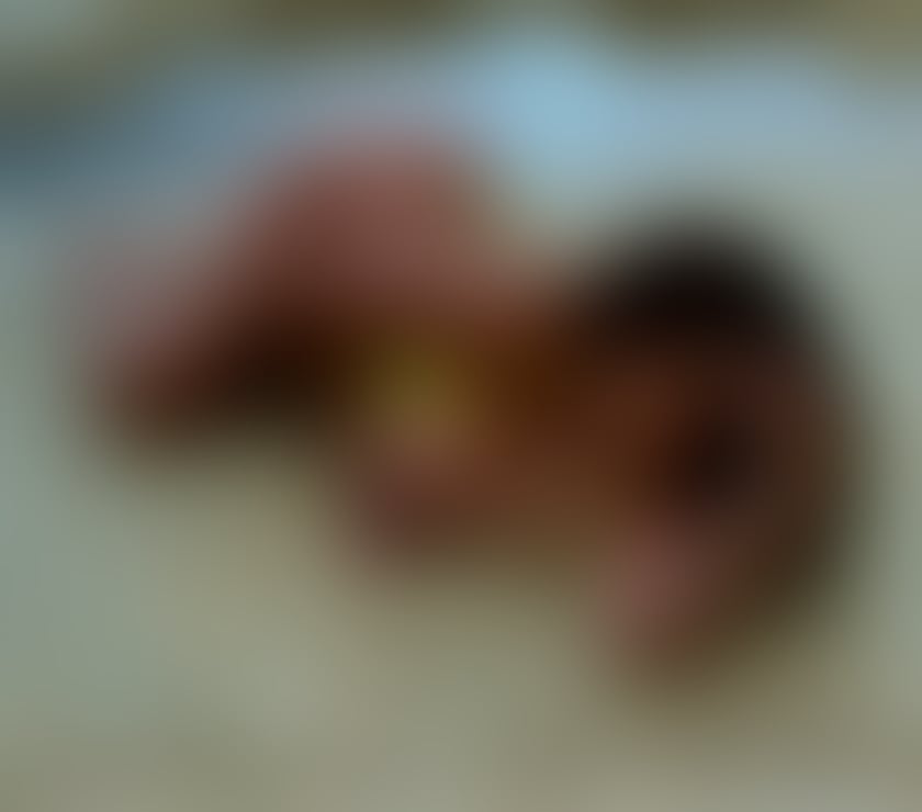 Escorts Aberdeen Aberdeen City Centre - Aberdeen - Photos for LIZ LATINA SEXY BRAZILIAN GIRL FIRST TIME IN ABERDEEN