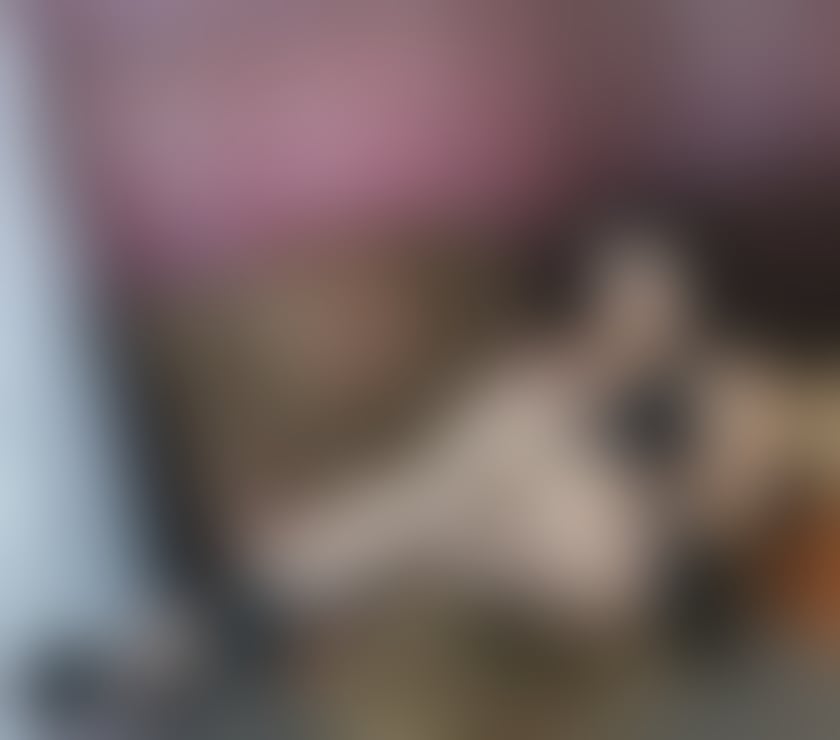 Escorts Kent Gravesham - Photos for Hi im Maria new for you❤️❤️❤️