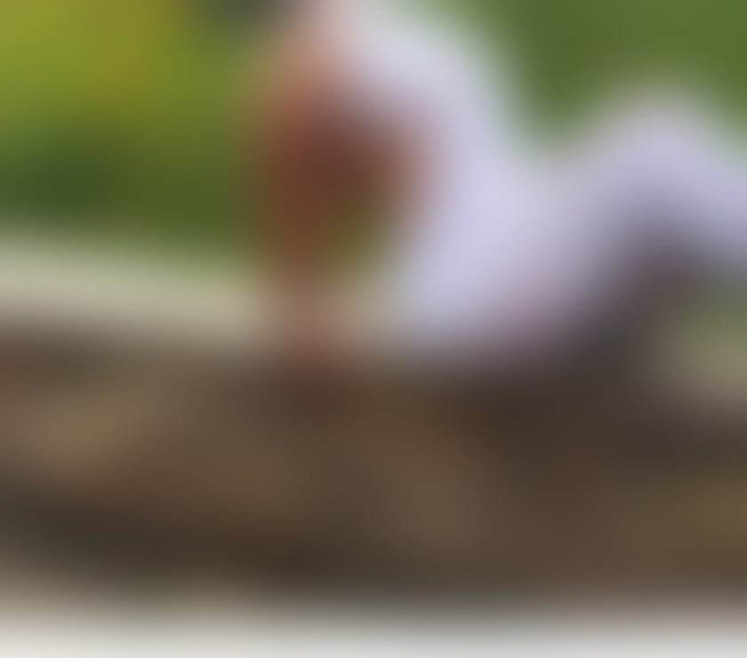 Escorts West Midlands Solihull - Photos for HOT ASS MILF ENGLISH BRUNETTE LOTS OF FUN