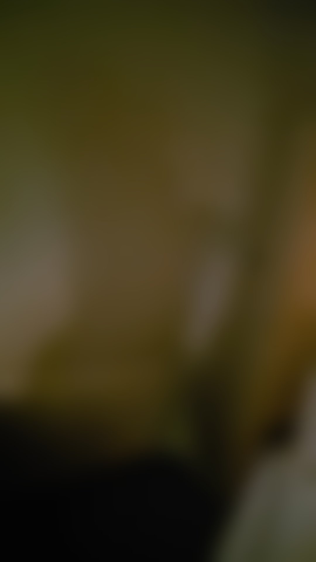 Escorts West Midlands Birmingham - 