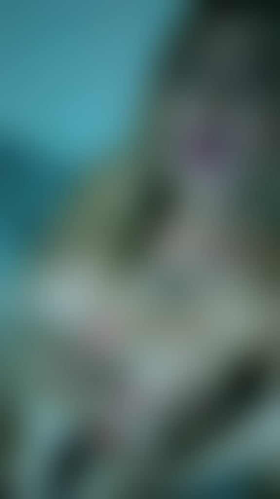 Escorts Hull Hull City Centre - Hull - 