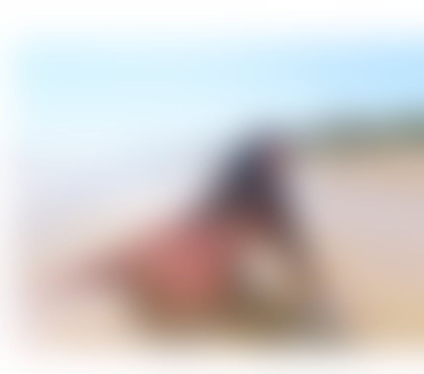 Escorts Dorset Bournemouth, Christchurch and Poole - Photos for BIG BOTTOM BRAZILIAN TAINA 🇧🇷🇧🇷 CURVY 🍑🍑