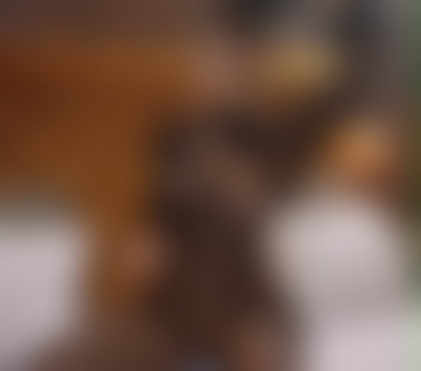 Escorts Oxfordshire Oxford - Photos for Luxury Escort Bella OUTCALL ONLY