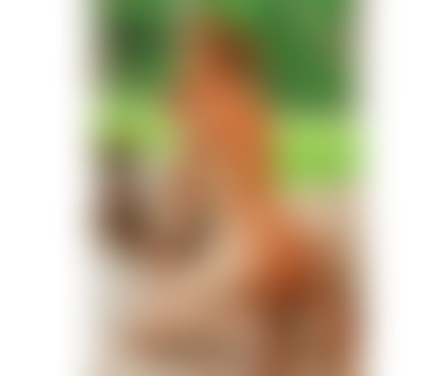 Escorts and Massages Luton Town Centre Luton - Photos for ❤️CATALINA GFE PARTY GIRL ❤️