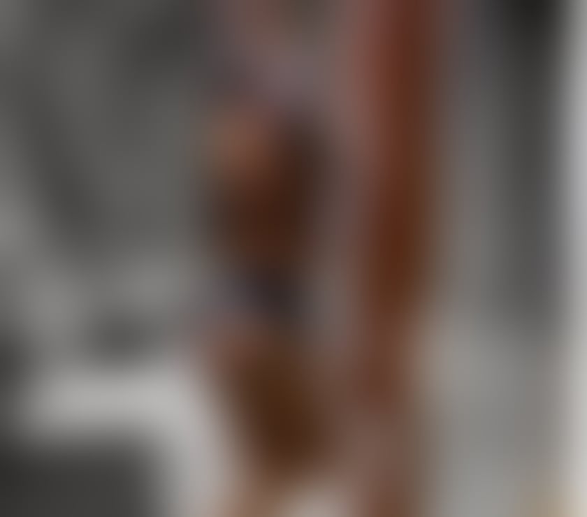 Escorts Merseyside Liverpool - Photos for BRAZILIAN DOMINATRIX Strap on