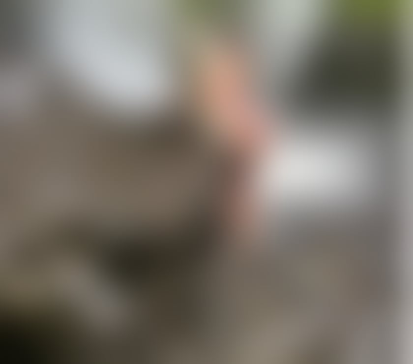 Escorts Cardiff Cardiff City Centre - Cardiff - Photos for 100% WELSH BLONDE BABE LOOKING FOR FUN!!!