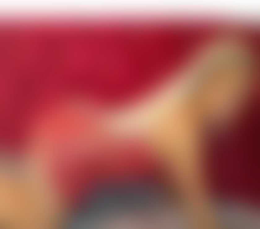 Escorts North London White Hart Lane Station - North London - Photos for HELLO GENTS❤️AM MELISSA NEW HERE LETS HAVE A FUN ❤️