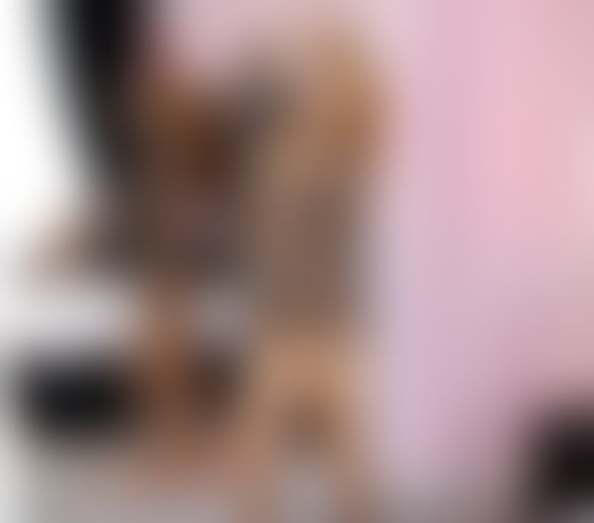 Escorts Gloucestershire South Gloucestershire - Photos for 🎀Luxury premium🎀💎🎀 relaxation outcall only