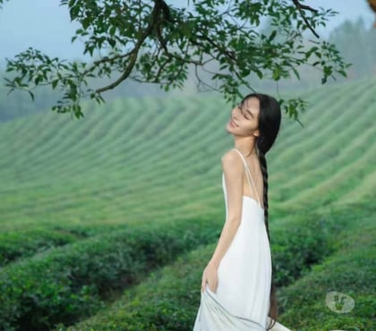 Escorts and Massages Tollcross Glasgow - Photos for Chinese girl massage in Tollcross