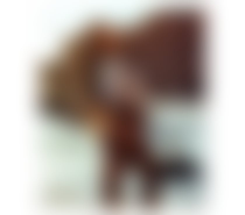 🔥🌹 PARTY♥️REAL PICS♥️BEST GFE🌹🔥