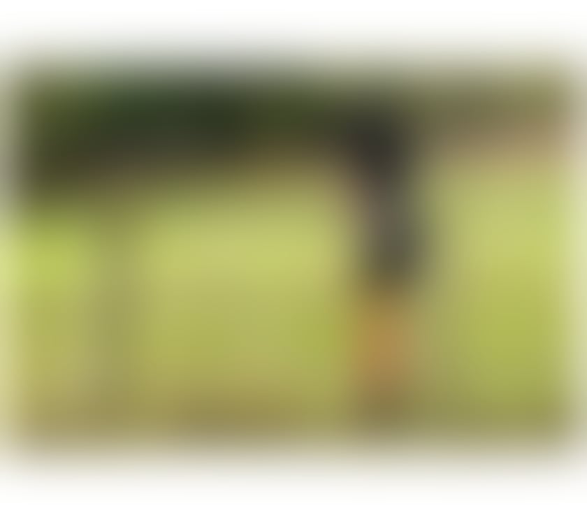 Escorts London Gatwick Airport Crawley - Photos for OUT-CALLS ONLY*1Hr£180*Sexy Ebony Gfe BRITISH INDEPENDENT