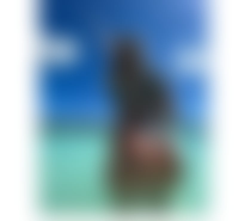  Escorts Leicester City Centre Leicester - Photos for Halenn – Elegance Redefined, Mystery in Every Touch